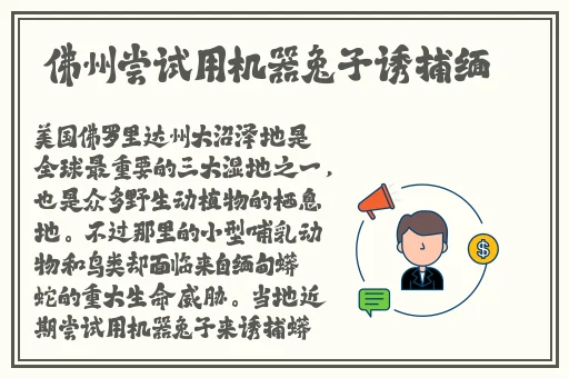 域名不定更换 请及时收藏N4V4